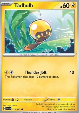 OBF 075/197 Tadbulb